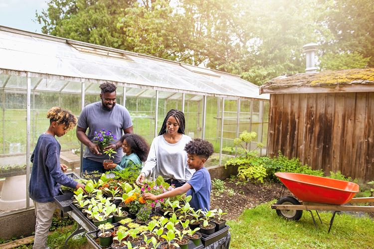 Encroachment Permit Town of Tillsonburg